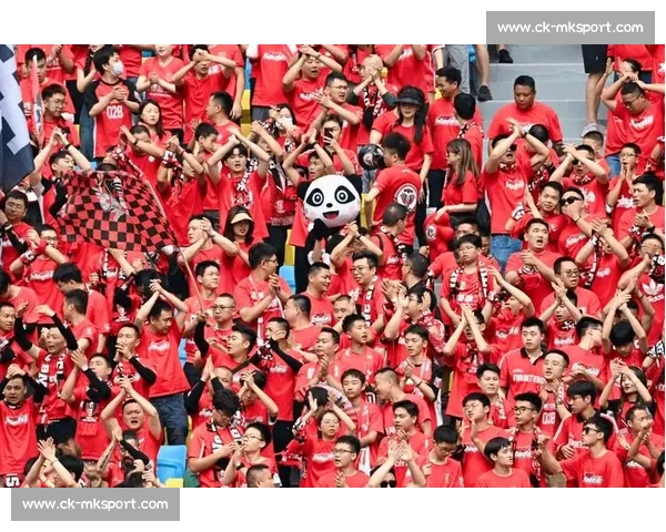 成都蓉城严斥球迷恶意涂鸦 承诺依规重罚维护赛事文明