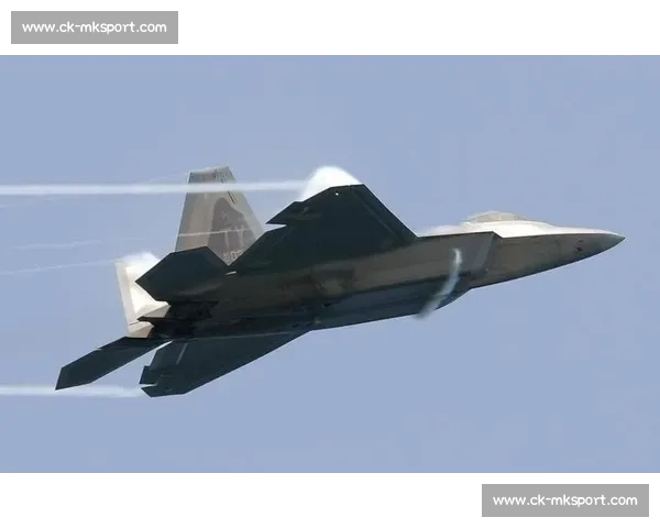 麦金尼精准捕捉战机！接腿抱摔 55 秒终结对手