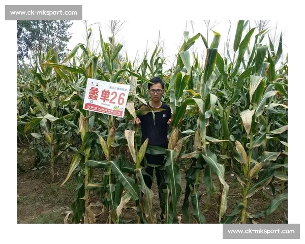 图赫尔更衣室暖心一幕：欧青赛夺冠后拥抱每位球员彰显领袖魅力